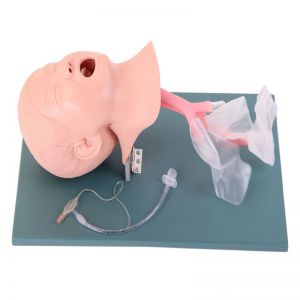 Advanced child trachea intubation model